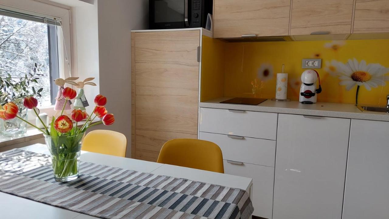 Apartma Marjetica ゴズ・マルチュリェク エクステリア 写真